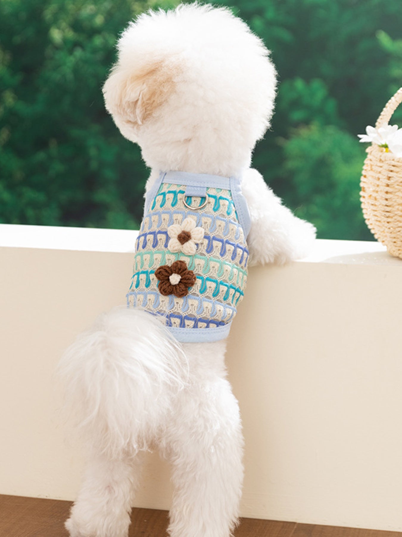 Colorful embroidered lace pet harness tops with floral accents for dogs