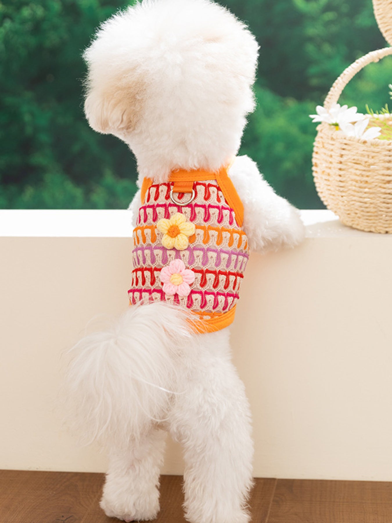 Colorful embroidered lace pet harness tops with floral accents for dogs