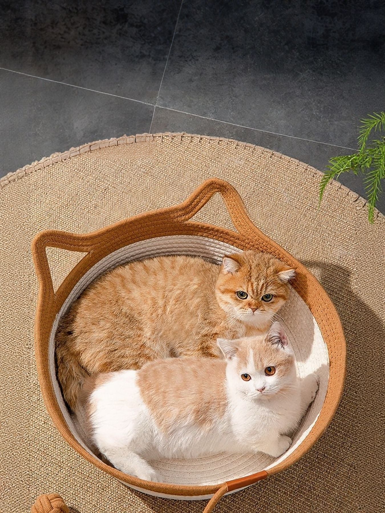 Cat resting inside cat ear shaped cotton pet bed with optional cushion padding