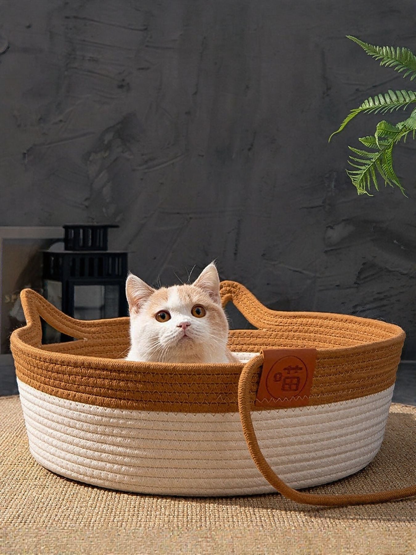 Cat resting inside cat ear shaped cotton pet bed with optional cushion padding