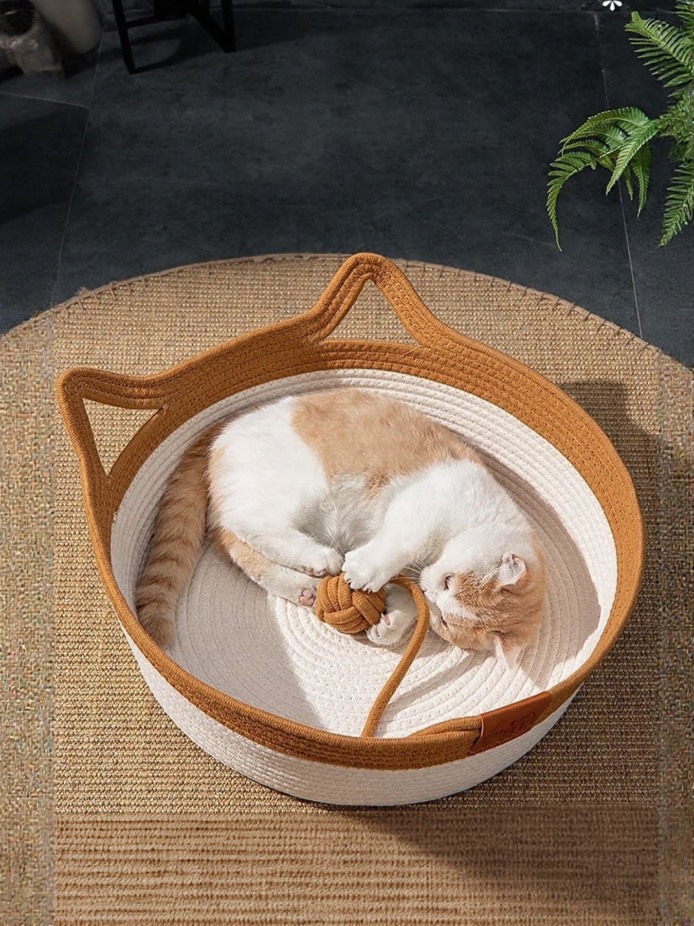 Cat resting inside cat ear shaped cotton pet bed with optional cushion padding