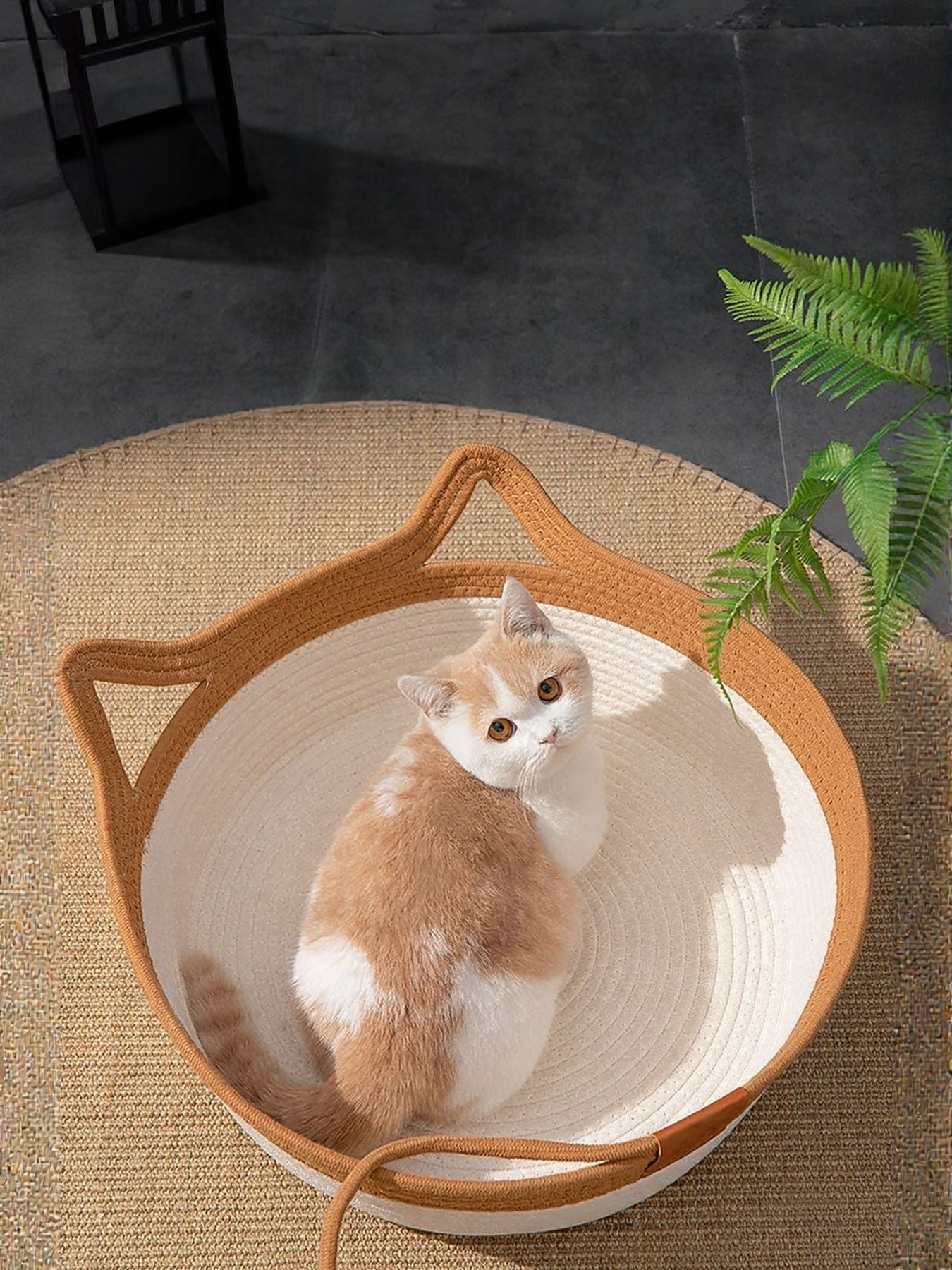 Cat resting inside cat ear shaped cotton pet bed with optional cushion padding