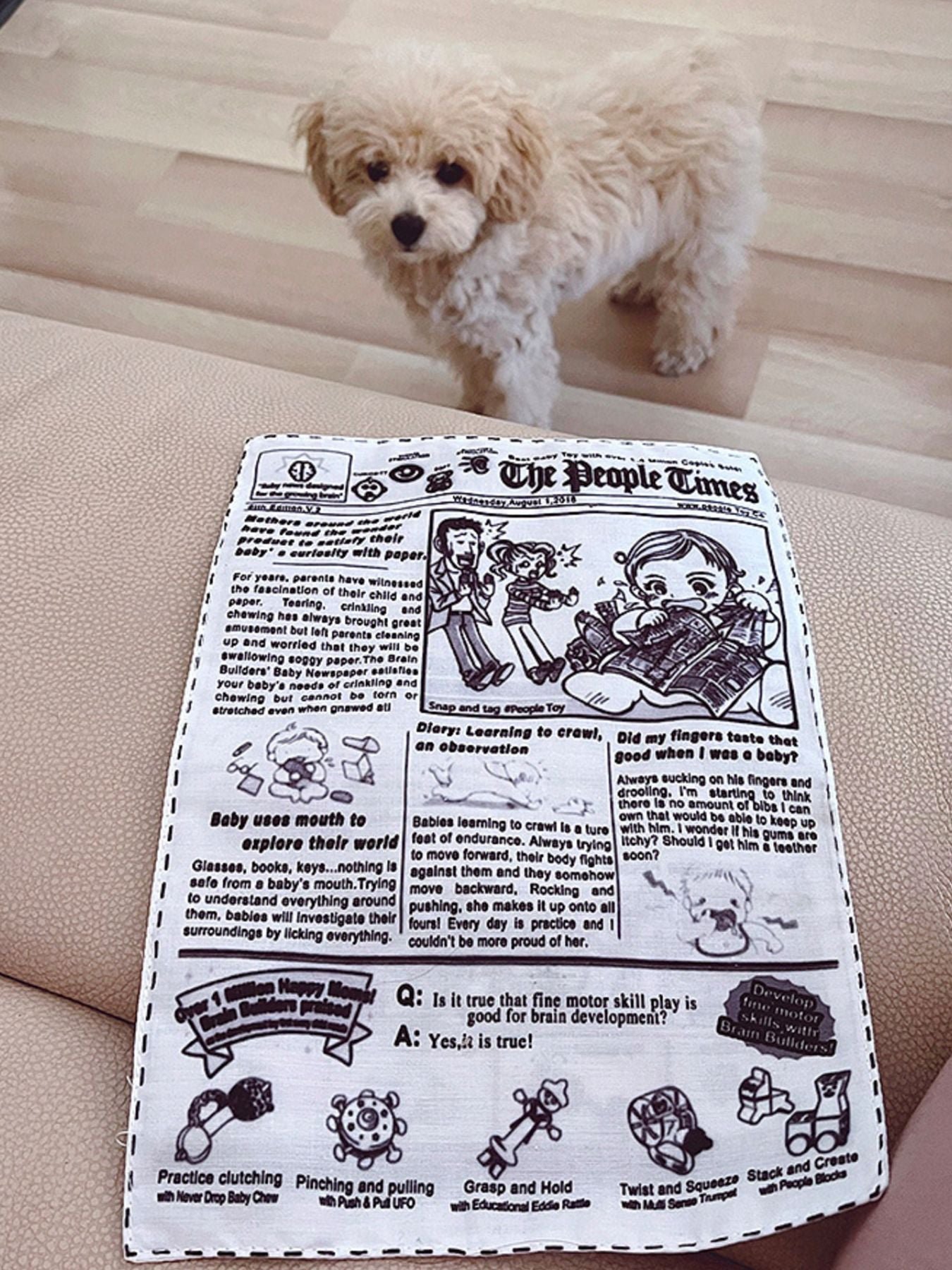 Soft crinkle newspaper dog toy for chewing and tug play