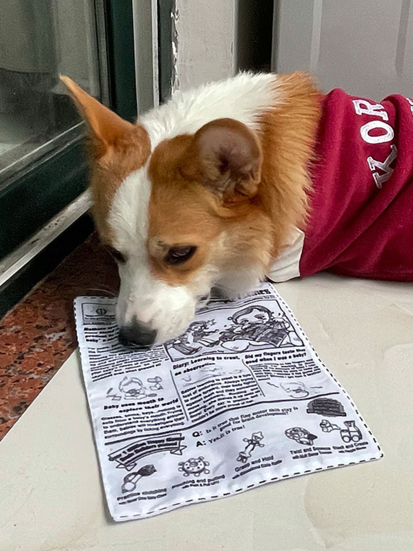 Soft crinkle newspaper dog toy for chewing and tug play
