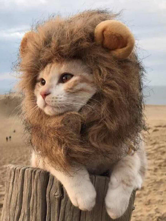 Cute lion mane pet hood costume for cats and small dogs