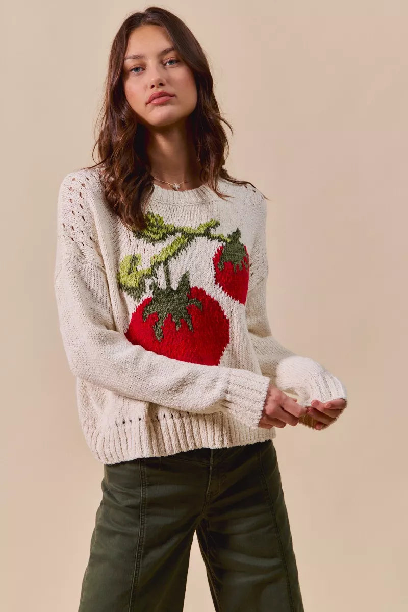 Tomato Vine Sweater – whimsical knit with red tomato design, round neck, ribbed cuffs, and eyelet details.