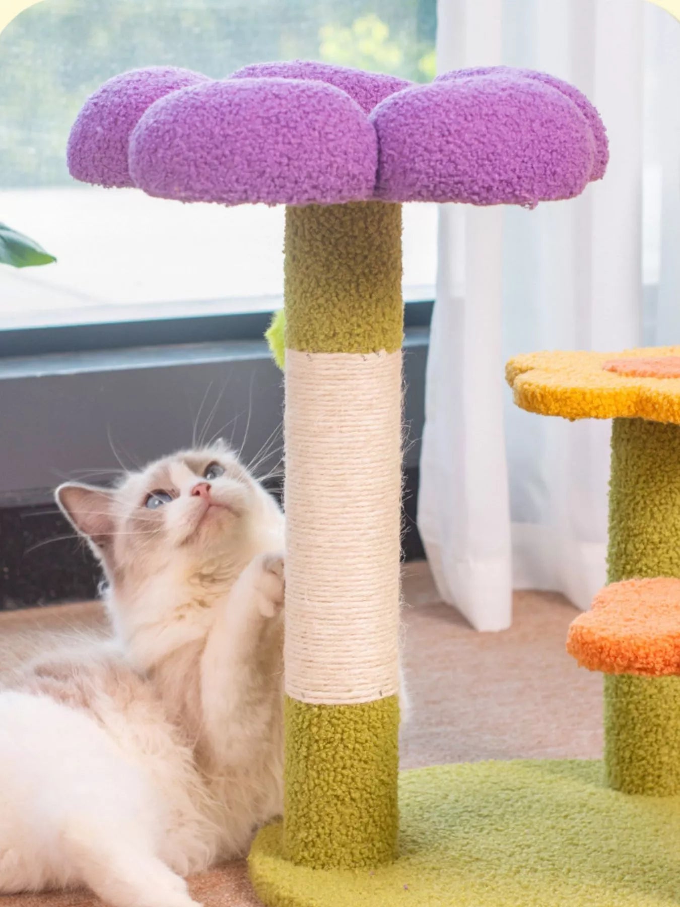 White cat lounging on colorful flower-shaped cat perch with scratching post